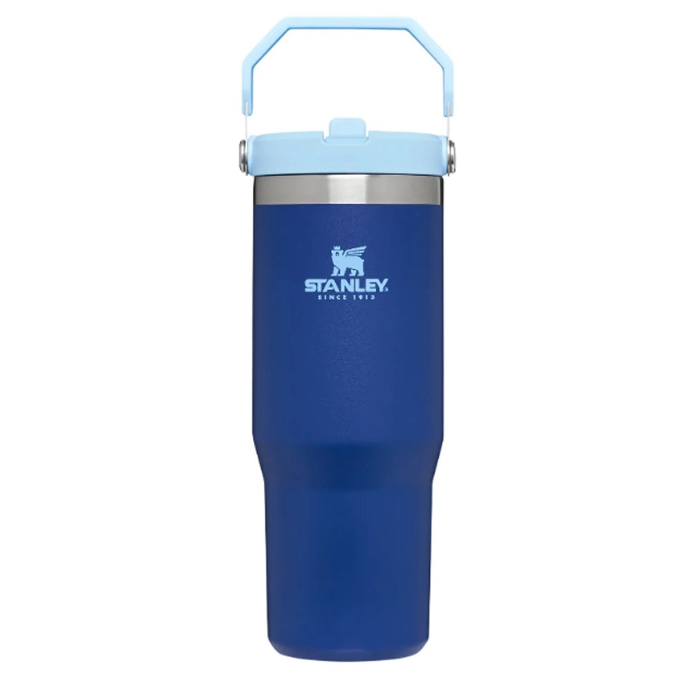 Stanley The IceFlow Flip Straw 30oz Tumbler in Lapis